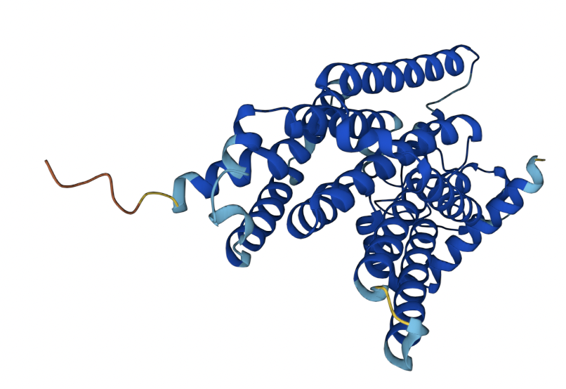 Glucose-6-Phosphate