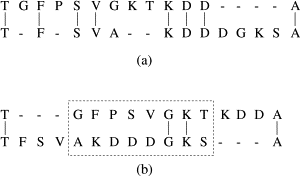 Regular Expression Sequence Motif Search